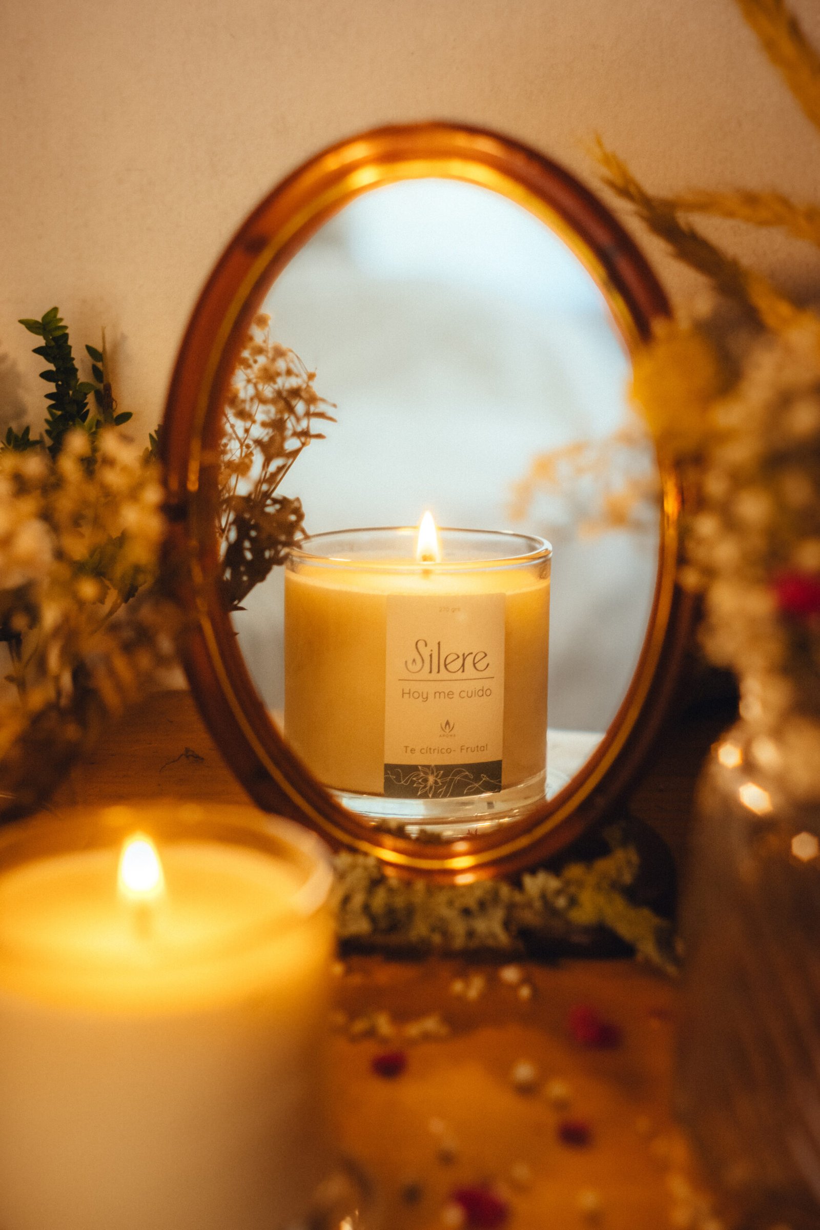 Experiencia de Talleres Silere Valdivia